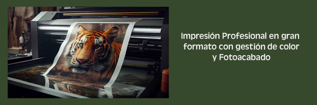 Fotografias ISAMAR Impresion profesional